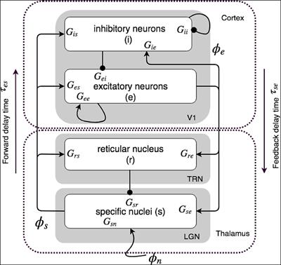 Neural Field Theory of Corticothalamic Attention With Control System Analysis